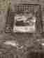 17610 Spectrum Diversified Designs Llc Grid Tray Organizer 6 X In