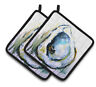 194030066225 Carolines Treasures Inc Aqua Sand Oyster Pair Pot