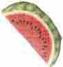 0266025 25101 Boston Warehouse Novelty Light Duty Oven Mitt Watermelon 026602251015 0266025 25101 Boston Warehouse Novelty Light Duty Oven Mitt Watermelon 026602251015