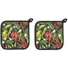 505340aa Now Designs Basic Potholders 064180162750