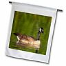 Mpr0062-maresa 53454 Canada Geese Bird Viewing Preserve Pryor Flag 499092244018