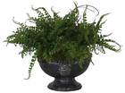 3636468 60137 Uttermost Ceramic Fern Centerpiece 792977601372