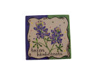 704284403303 Kathryn Design Bluebonnet Pot