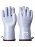 711745620834 Lanon Protection Heat Resistant Liquid Silicone Gloves Oven