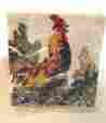 747493 Williams-sonoma Nwt Rooster Farm Kitchen Towel