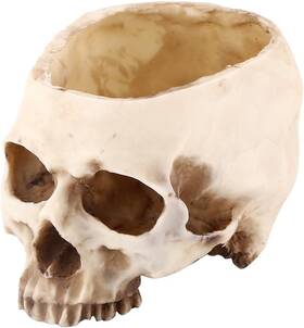 Akozonygvr0d6koq Akozon Skull Cereal Bowls For Eating Human Bowl Food Safe Modern Resin Black