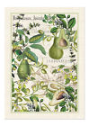 Avocado Kitchen Towel Woven Cotton Michel Design Works Gift 608666698403