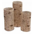Bip14049 Boston International Birch Set Pillar