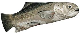Boston Warehouse 152555188139 Salmon Decorative Mitt