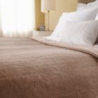 Bsv9gfs-r772-12a44 Sunbeam Velvet Plush Heated 027045769464