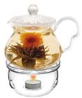 Gptw-203 Tea Beyond New Teapot Fairy With Warmer Cozy 0855251002668