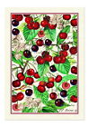 Michel Design Works Black Cherry Kitchen Towel 608666701998