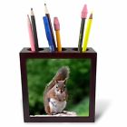 Ph 22427 1 Red Squirrel With Attitude Tile Pen Holder 494022427011
