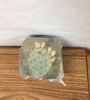 229716 Phl 1 Rose Pipe Cactus Nm Engelmanns Prickly Pear Soft 191767095580