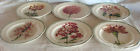Pierre Frey Six Fayence Dinner Plates Gien France