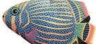 Pot Holder Cooking Oven Mitt Tropical Fish Heat Resistant Kitchen Baking New 717109856093