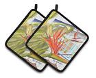 Rdr2005pthd Carolines Treasures Flower Bird Of Paradise Pair Pot 638508367891