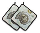 Sb3033pthd Carolines Treasures Shells Potholder Set Of Caroline 638508373144