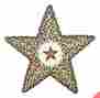 Stp-051 Capitol Earth Rugs 19 Large Primitive Star Shaped Trivet Gold