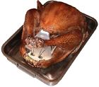 Ts66 Nifty Back To School Poultry Shield Tea Cozies 729708066766