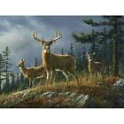 Tt92002 Tuftop Deer Autumn Whitetail 0638608920026