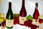 Wine Placemat Unbranded 6 Pc Placemats Vinyl Clear Bottles Grapes Plus Free Towel 044712007889