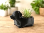 Cute Dachshund Succulent Planter - Dog Flower Pot, Air Holder. Fixed Price $39.97.