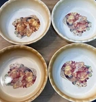 Nantucket Pumpkin Bowls Set Of 4 Fall Thanksgiving Baking Dish Oven Safe. Fixed Price $29.99.