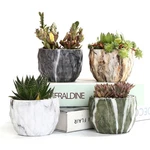 Se Modern Style Marbling Ceramic Flower Succulent/cactus Planter Contai. Fixed Price $29.25.