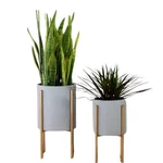Aspire Mid-century Modern Planter Set Of 2 Gray Indoor Pots With Golden. Fixed Price $118.13.