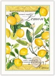 Kitchen Dish Towel, Lemon Basil. Fixed Price $72.51.