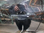 Rear 2020 Blazer Door Handle Outside Exterior SKU#4393329. Fixed Price $74.10.