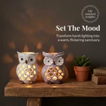 Decozen Lucky Owl Tea Lights Votive Candle Holders Set Of 2 Home Decor. Fixed Price $12.00.