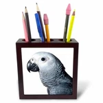 3DROSE Ph 4033 1 African Grey Parrot Tile Pen Holder, 5-INCH. Fixed Price $58.84.