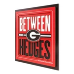 Youthefan Ncaa Georgia Bulldogs Slogan Series 3D Wall Art X 12, Team Colors. Fixed Price $50.33.