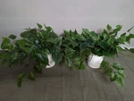 Lot Of 2 - Threshold Realistic Faux Pothos Plants In Ceramic. Fixed Price $25.95.