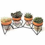 Tj Global Succulent Cactus Tribal-print Terracotta Planter Pot With Iron.... Fixed Price $13.64.