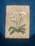 Cosmos Flowers Ceramic Plaque 3D Effect 3/4" Across 6 1/2" Long And Wide. Fixed Price $12.99.
