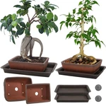 Elfully Pack Ceramic Bonsai Pots With 7 X 5.1 2.4 Inches, Terracotta. Fixed Price $30.98.