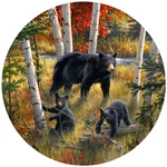 Bears & Birches (hb) Jar Opener Stylish Silicone Home Kitchen, Dining Decor. Fixed Price $19.95.