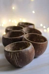 Coconut Natural Eco Friendly & Creative Handmade Dessert Bowls - 4 Pcs. Fixed Price $69.99.