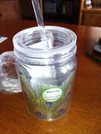 Niob Spoontiques "peacock Feathers Mason Jar Insulated Mug"; #17916; W/lid &.... Fixed Price $14.50.