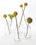 Set 6 Bud Vases Glass Clear Small Serene Spaces Living Home Decor New. Fixed Price $18.80.