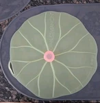 New Charles Viancin The Lilypad Lid 11" Silicone Suction Food Cover. Fixed Price $20.00.