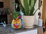 Talavera Owl Mexican Flower Pot Large Colorful Indoor Outdoor Decoration. Fixed Price $79.80.