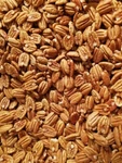 Texas Shelled Pecan Halves - 1 Pound 2025 Crop!. Fixed Price $24.00.