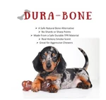 Small Durable Rubber Bone Chew Safe For Dogs & Puppies, Hickory Smoke Scent. Fixed Price $10.00.