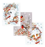 Winter Birds 3-PC Kitchen Towel Set Absorbent Cotton Christmas Dishcloth 18X27". Fixed Price $15.95.