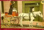 French Market Milk Maid 1920 Postcard New Orleans La State Seal Horse Buggy. Fixed Price $8.50.