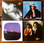 Lot 4 Vinyl Lp Joy Of Cooking, Terry Garthwaite Self-titled, Hand Glove Nm/vg. Fixed Price $39.95.